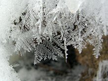 east coast cold